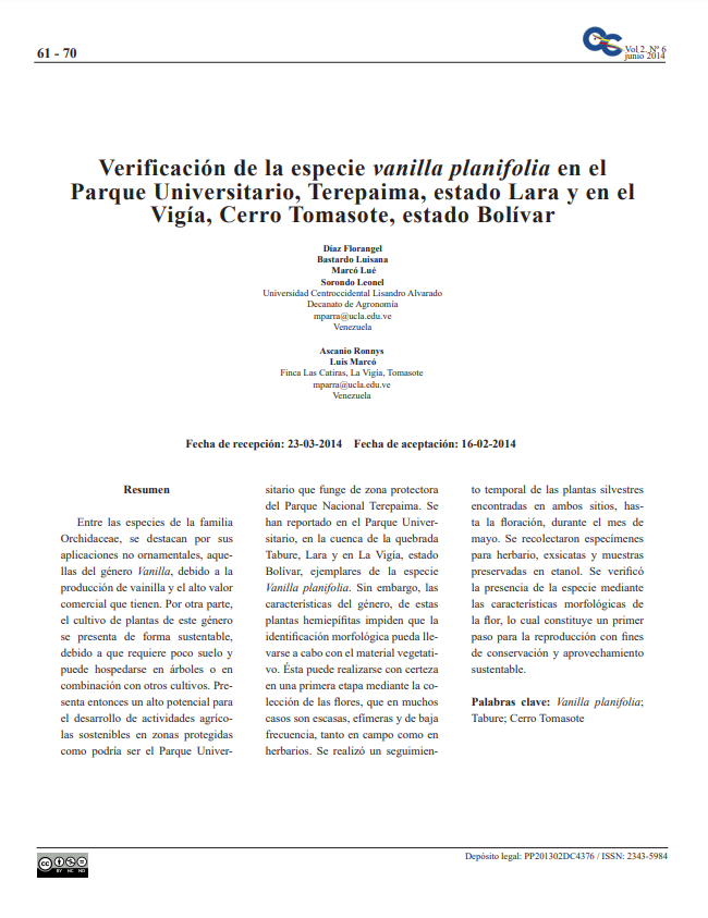 Producción de vainilla 