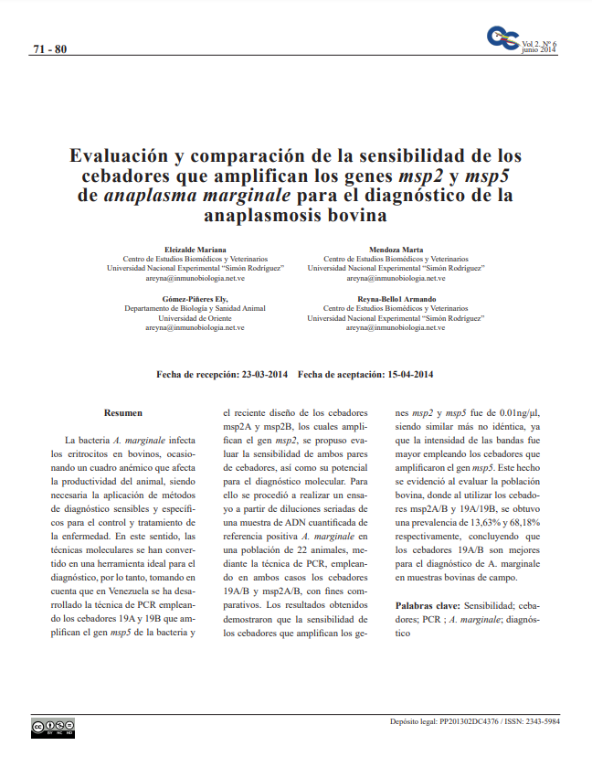  La bacteria A. marginale infecta  los eritrocitos en bovinos